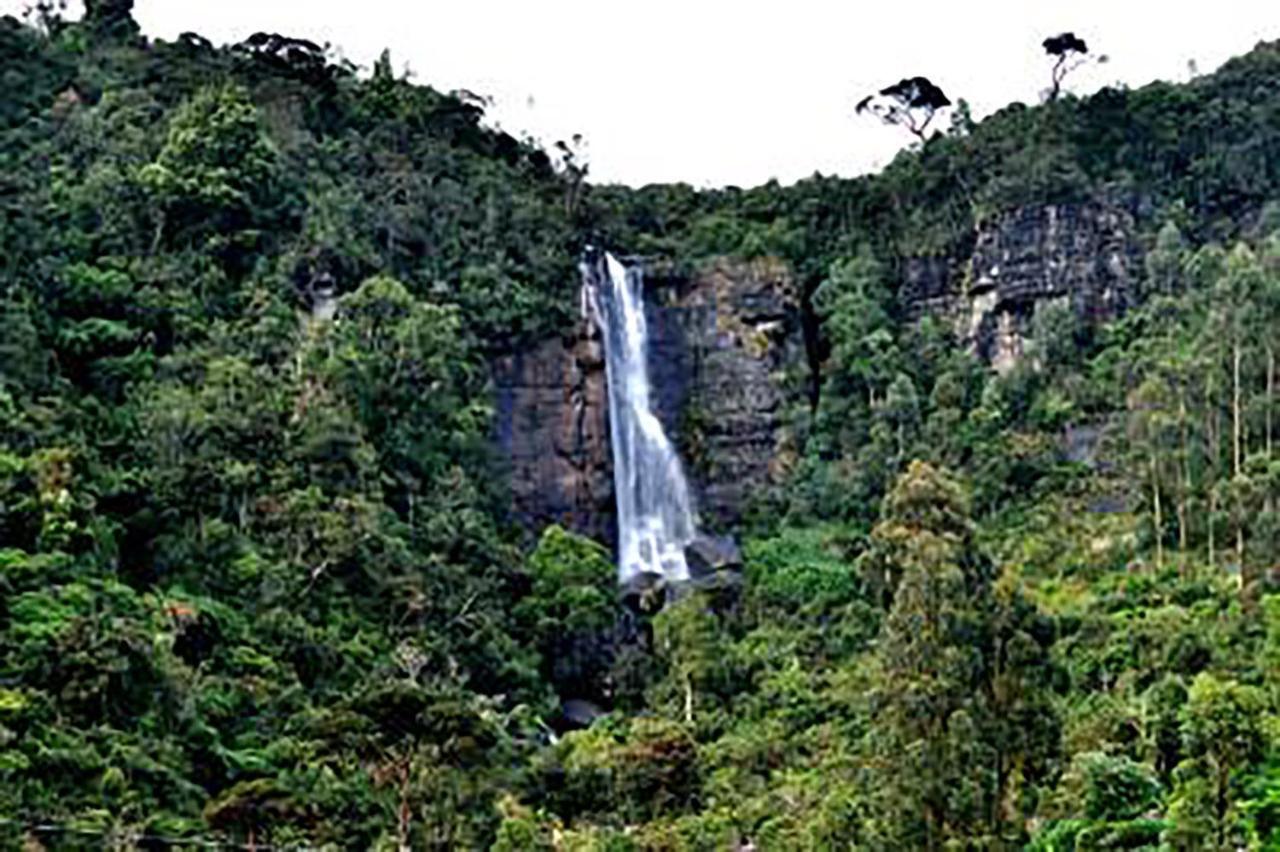 Dream Hill Homestay Nuwara Eliya Luaran gambar